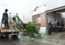 CONTINÚA DISTRIBUCIÓN DE AGUA EN PALMANOVA Y LOMAS DEL ROSARITO, EN CADE­REYTA